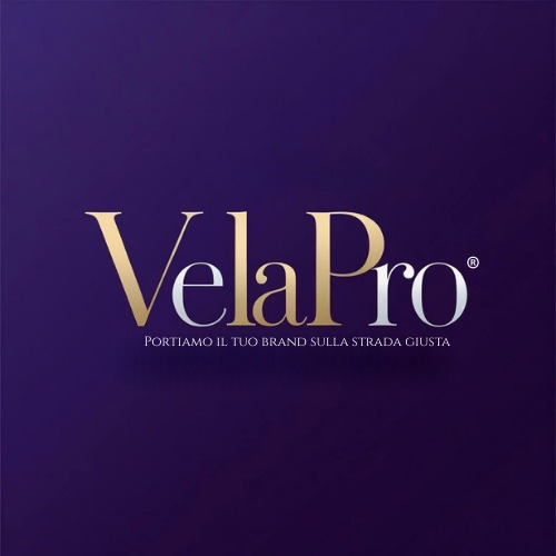 VelaPro Logo